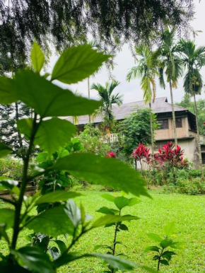 Himmat Guri Farmstead - Great place to chill with family